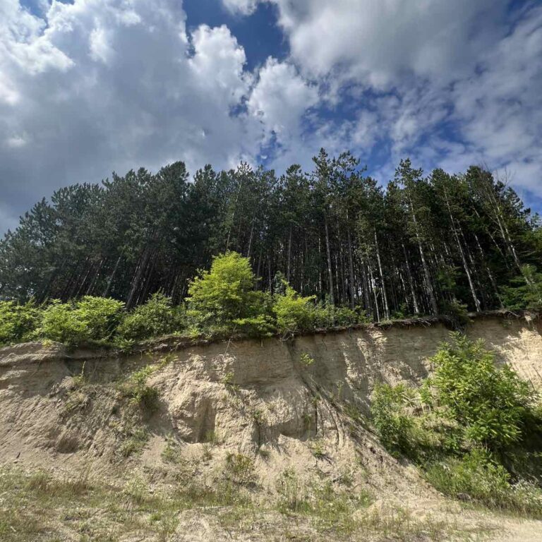 Predrag Kostin priroda