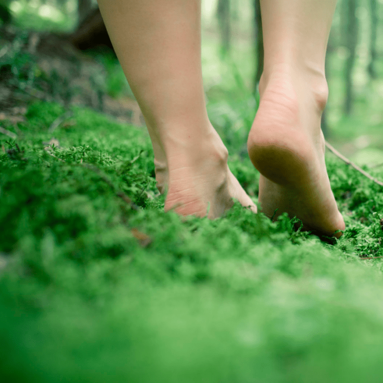bosa stopala gaze po zelenoj mahovini