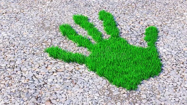 Zeleni otisak ruke od trave na šljunkovitoj podlozi, simbolizuje ljudski uticaj na prirodu i ekološku svest.