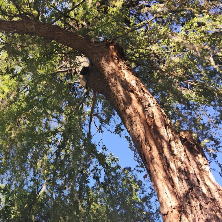 foto by Sandra Pejović