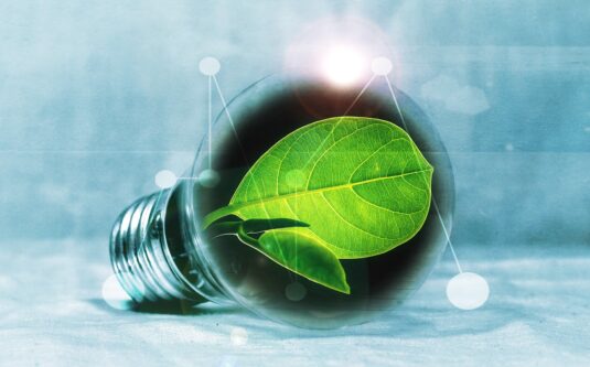 lightbulb, leaf, chlorophyll, green, leaf green, light, pear, flashes, energy, energy transition, energy generation, bulbs, experiment, innovation, environmentally friendly, electricity, environment, nature, electric light, energy saving