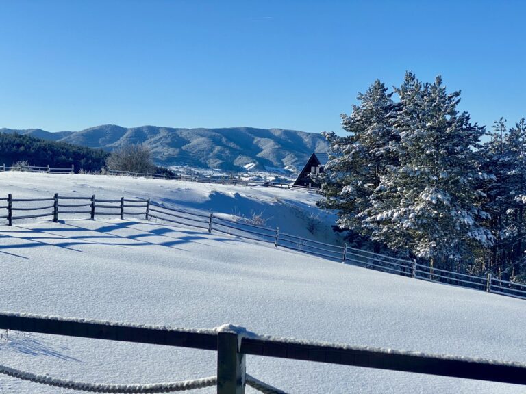 zimski pejzaž na planinin, sa drvenom ogradom i dubokim snegom, oivičen prostor snežnim jelkama
