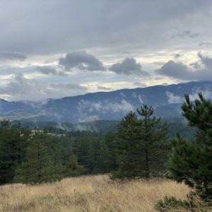 Pogled na planinu u oblacima sa uzbrdice na kojoj se nalazi osušena trava okružena zimzelenim drvećem