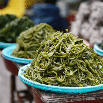 Alge postavljene na dva tanjira kao superfood