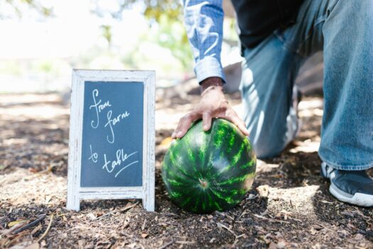 A farmer's hand rests on a watermelon beside a 'from farm to table' sign.