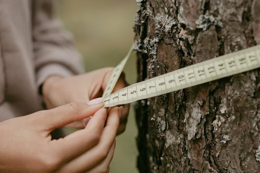 Stablo drveta u gro planu, ženske ruke koje mere debljinu stabla trakom metra
